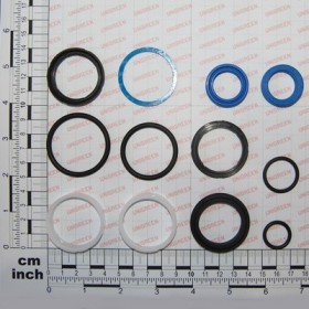 GASKET SET CYLI. 04410067F