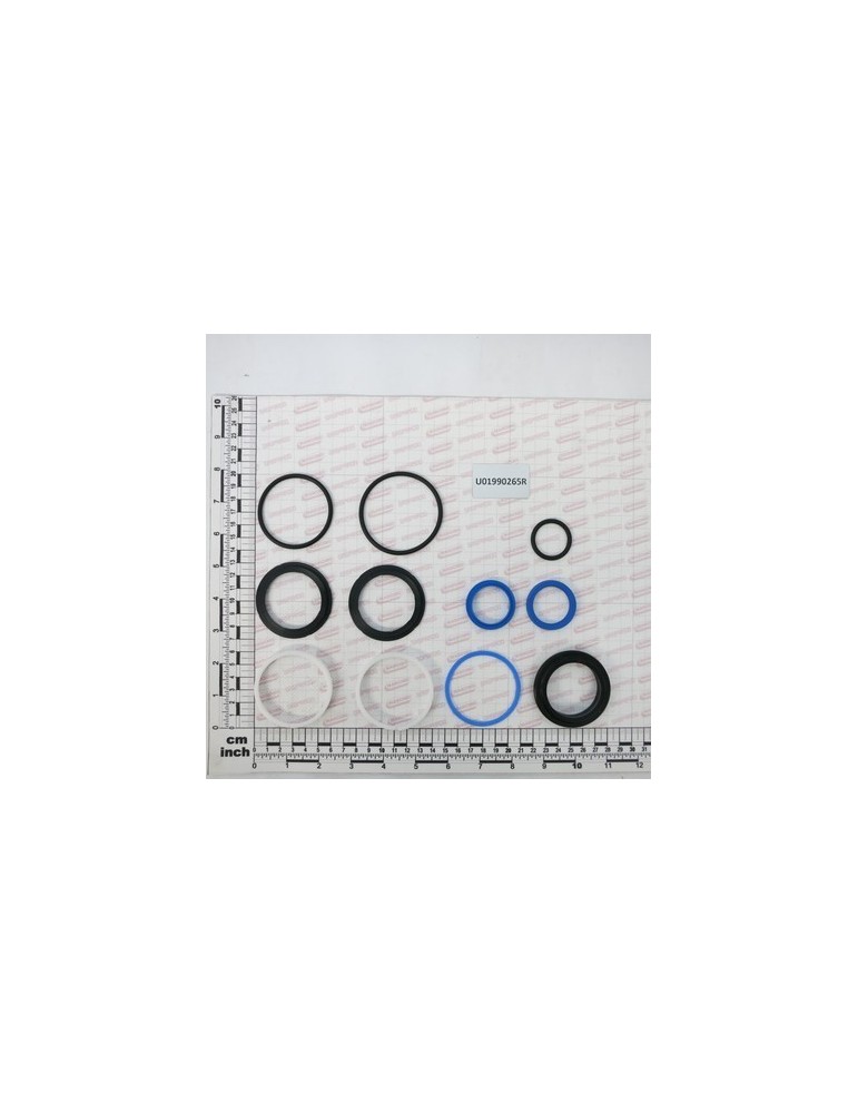 GASKET KIT FOR CIL. U04410052R