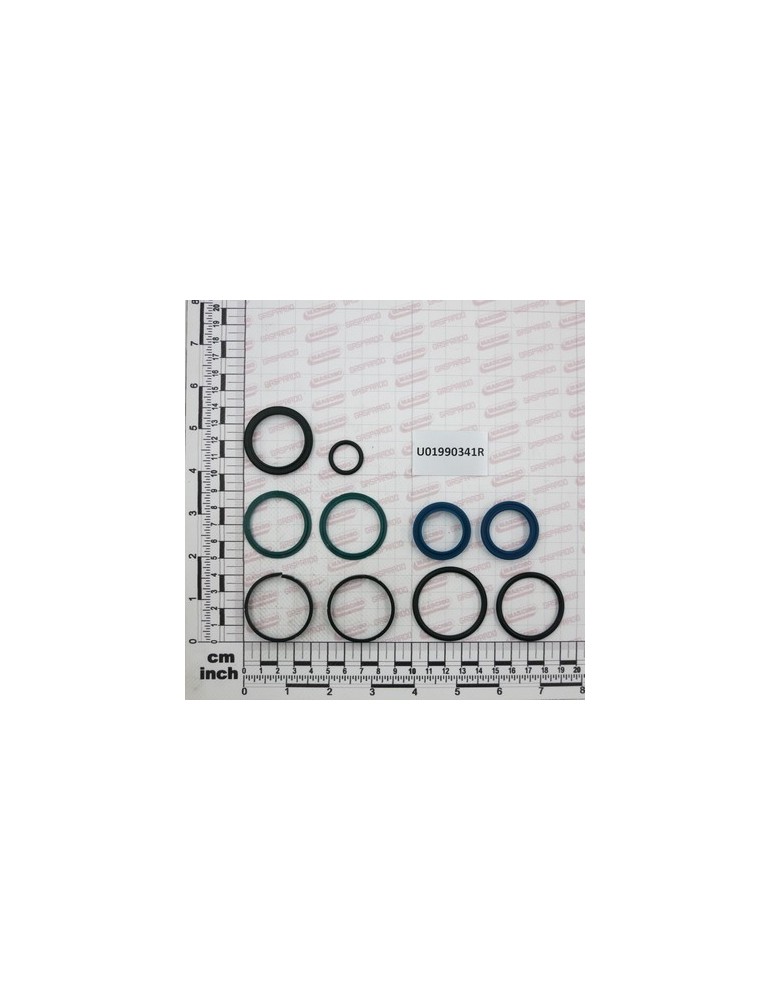 PIST.SEAL KIT FOR EXTE.WORK 18
