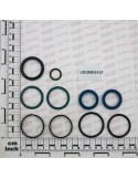 PIST.SEAL KIT FOR EXTE.WORK 18