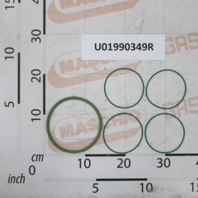 KIT OR VITON SUCT.FILTER 260L