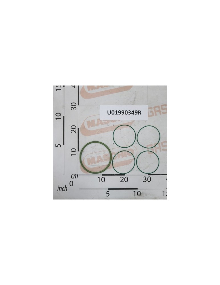 KIT OR VITON SUCT.FILTER 260L