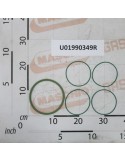 KIT OR VITON SUCT.FILTER 260L