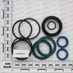 RAM SEAL KIT FOR U04410078R
