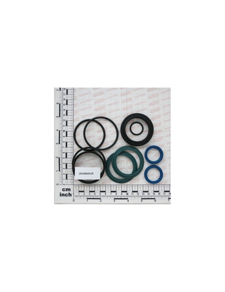 RAM SEAL KIT FOR U04410078R