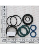 RAM SEAL KIT FOR U04410078R