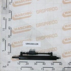 PISTON COMPLETE EXTENSION 15MT