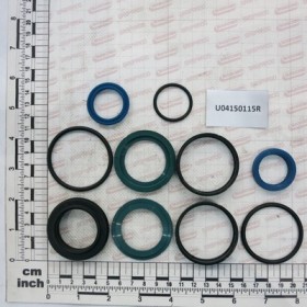 PISTON SEAL KIT CENTRAL DX/SX