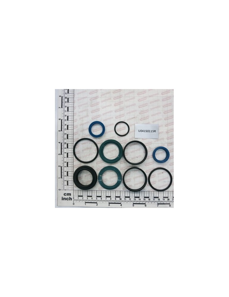 PISTON SEAL KIT CENTRAL DX/SX