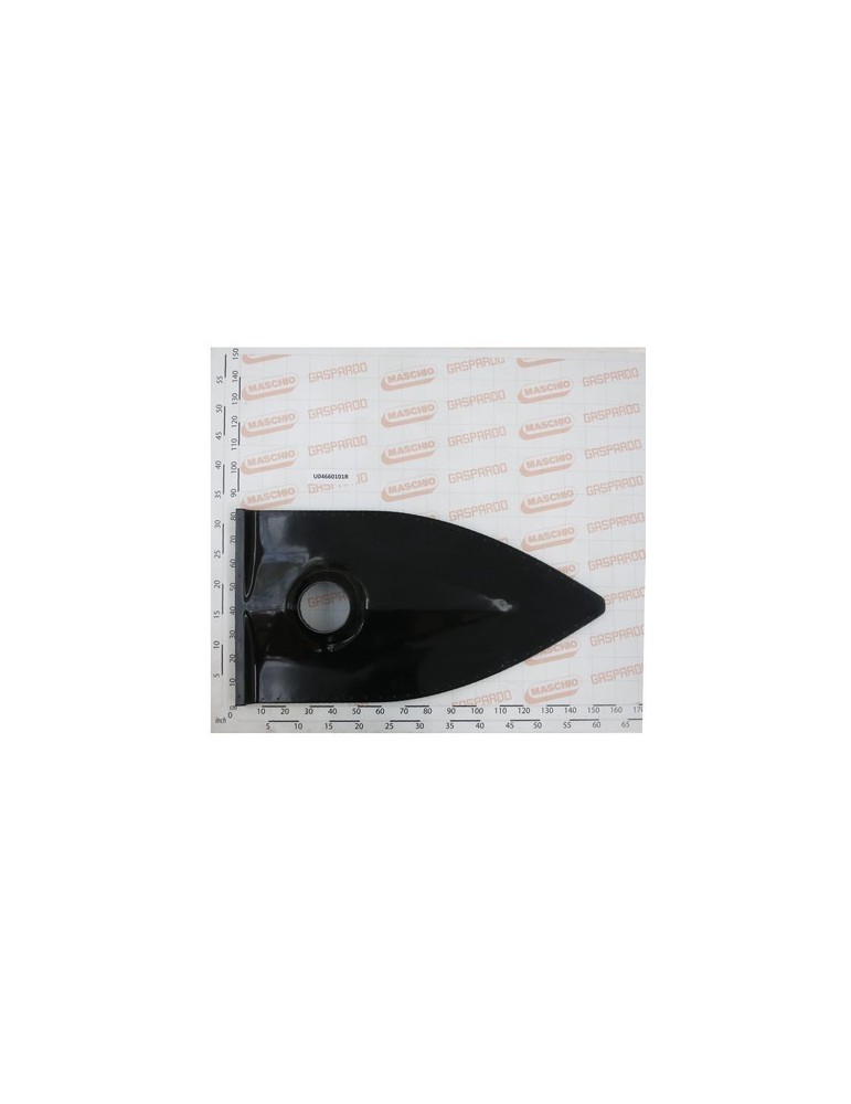 CONVANTERIORE TGZ $650