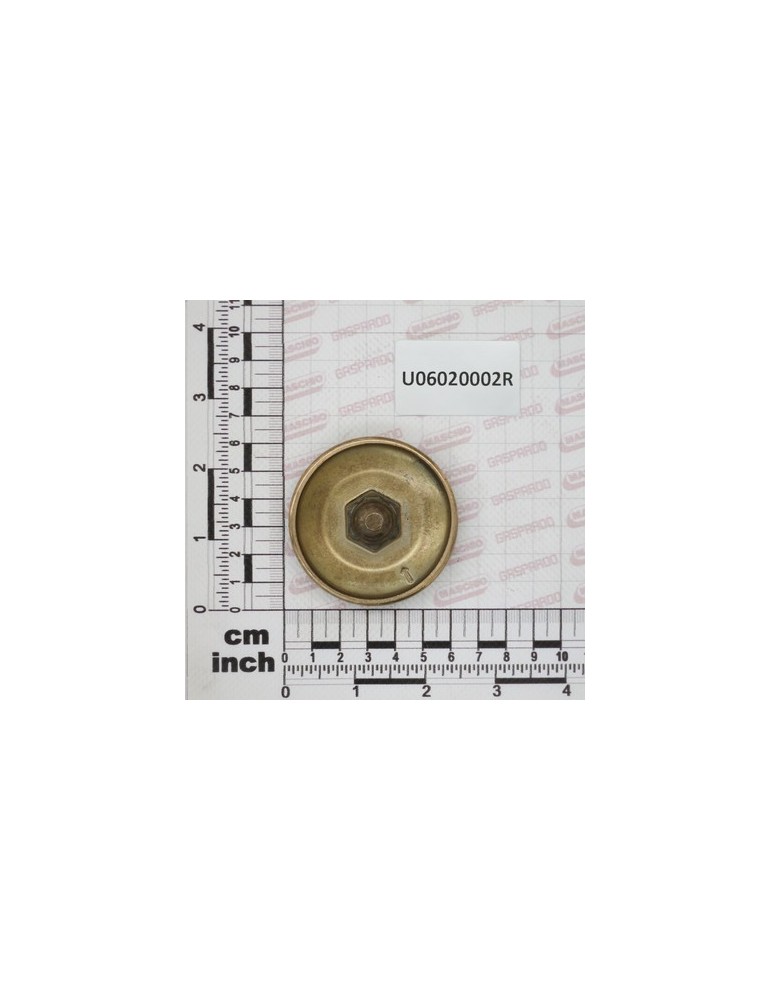 DIAPHRAGM SEAL DISC