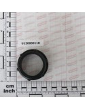 NUT GAL M46X2