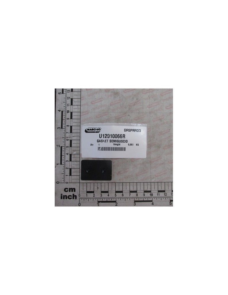 GASKET SEMIGUSCIO