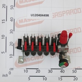 RV250/5RPC 50BAR WITHOUT DISPE