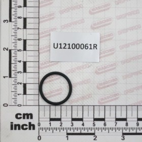 GASKET$25,07X30,31X2,62 OR3100