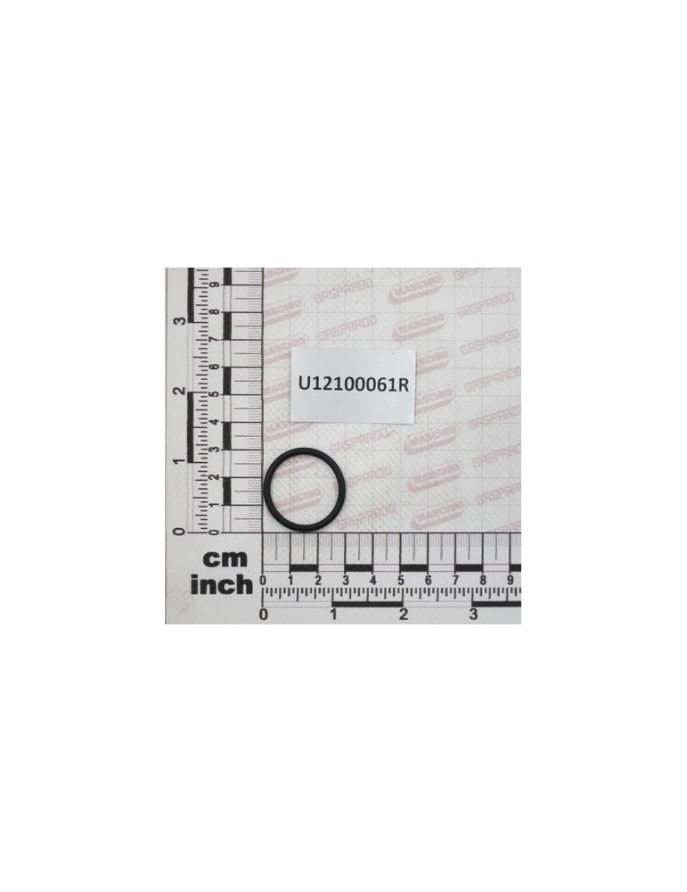GASKET$25,07X30,31X2,62 OR3100