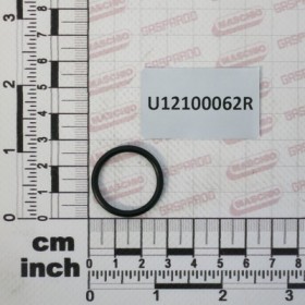 GASKET OR 2,62X22,22