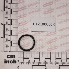 O RING 3,0X25X31