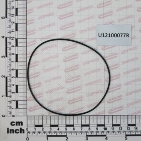O RING 1,78X101,32