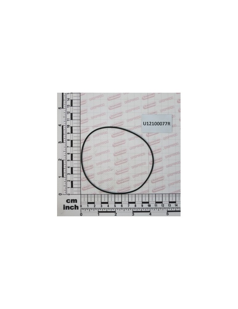 O RING 1,78X101,32