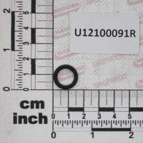 GASKET 11,91X2,62X17,15