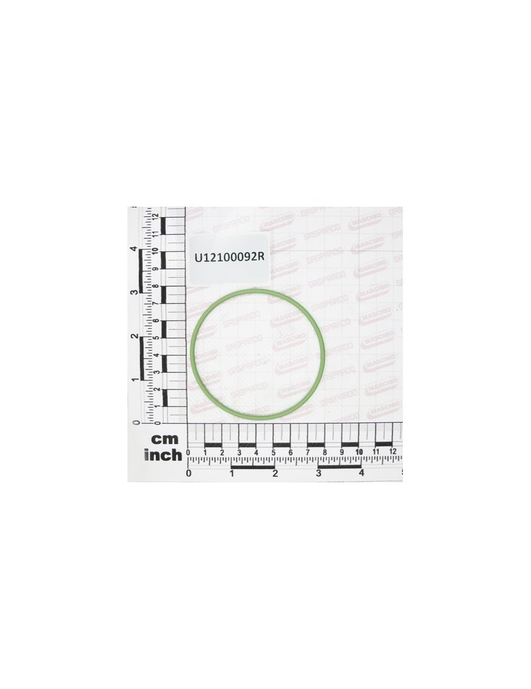 O.R.GASKET 2,62X71,12 VITON
