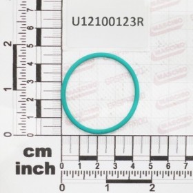 GASKET D39,34X2,62 VITON